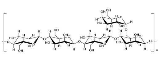 Locust Bean Gum Locust Bean Gum