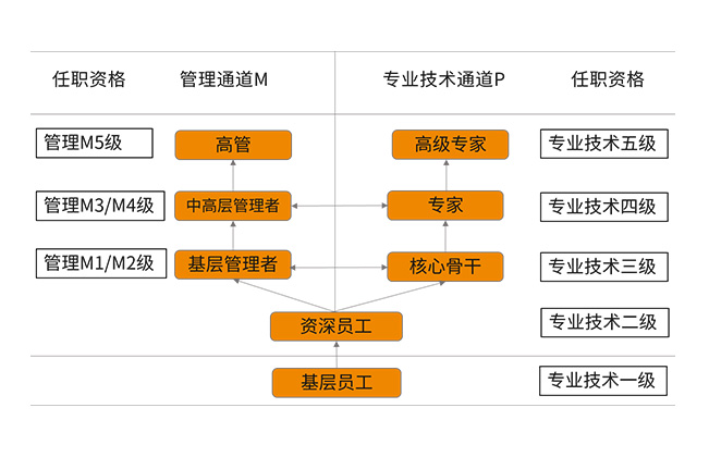 企业服务 企业服务