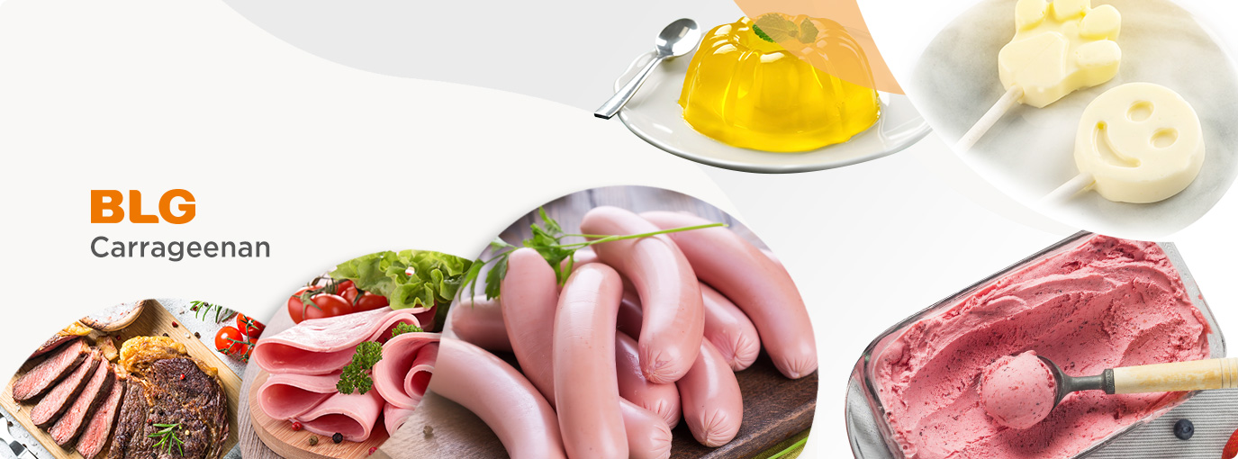 Carrageenan Carrageenan